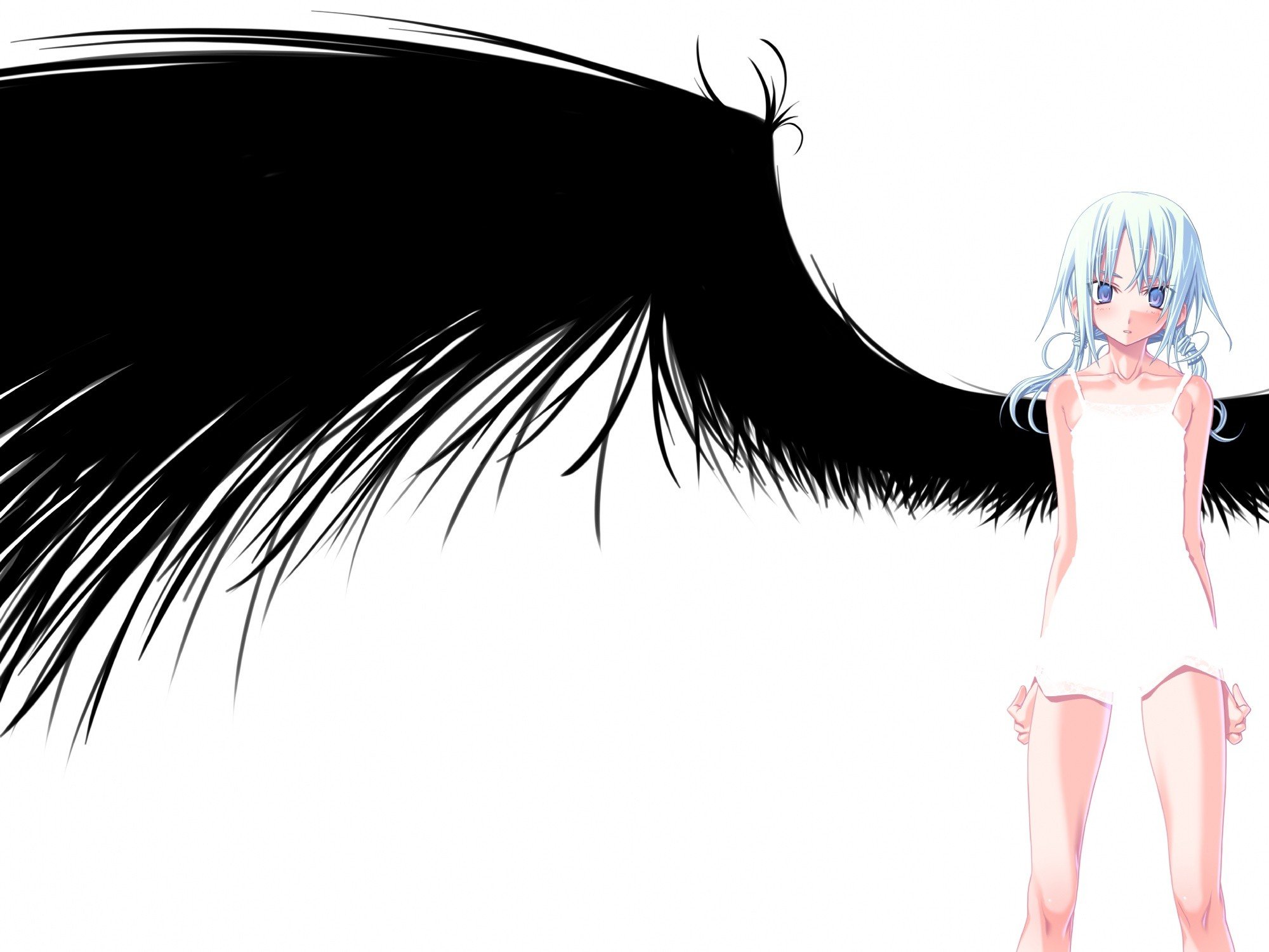 wings, White Wallpaper