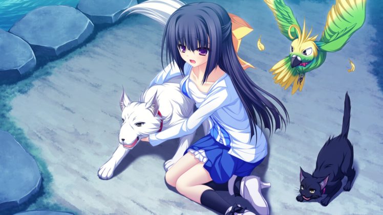 anime girls, Birds, Dog, Cat, Animals, Visual novel, Lunaris Filia, Minase Yukari, Schoolgirls HD Wallpaper Desktop Background