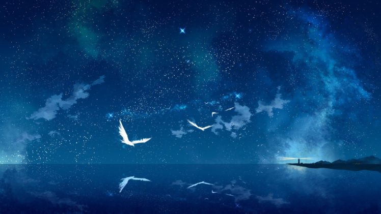 stars, Birds, Fantasy art HD Wallpaper Desktop Background