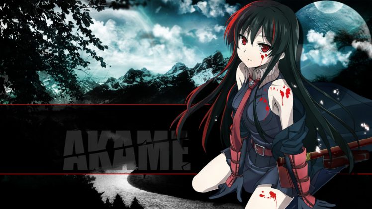 Akame ga Kill!, Akame HD Wallpaper Desktop Background