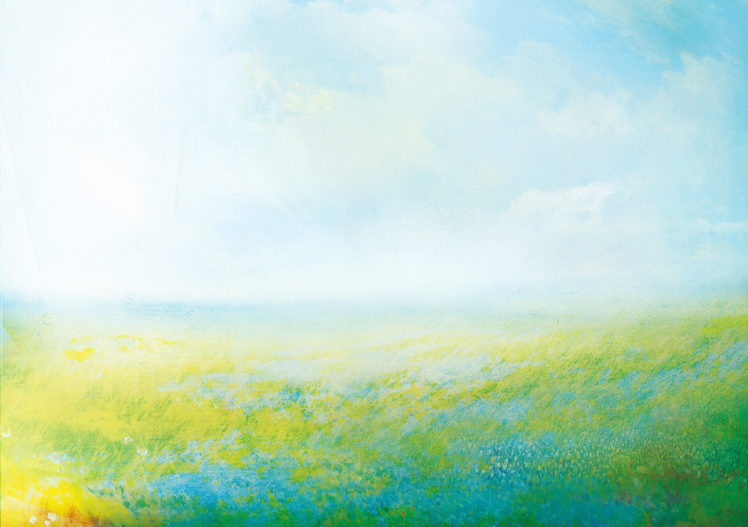 wind, Sky, Meadow, Flowers, Clouds, Grass HD Wallpaper Desktop Background