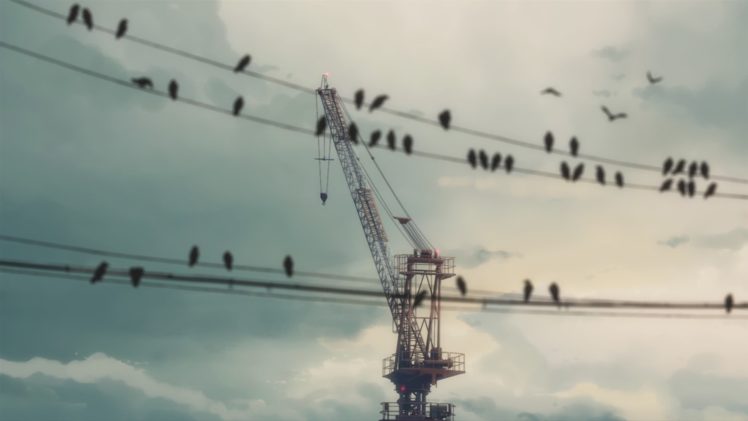 birds, Wire, 5 Centimeters Per Second HD Wallpaper Desktop Background