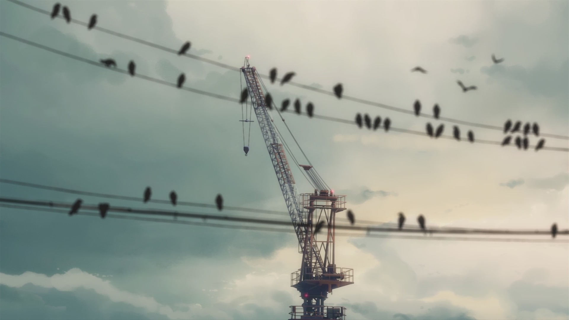 birds, Wire, 5 Centimeters Per Second Wallpaper