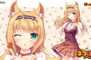 Neko Para, Maple (character), Sayori, Nekomimi, Neko Works, Anime girls