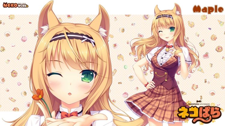 Neko Para, Maple (character), Sayori, Nekomimi, Neko Works, Anime girls HD Wallpaper Desktop Background