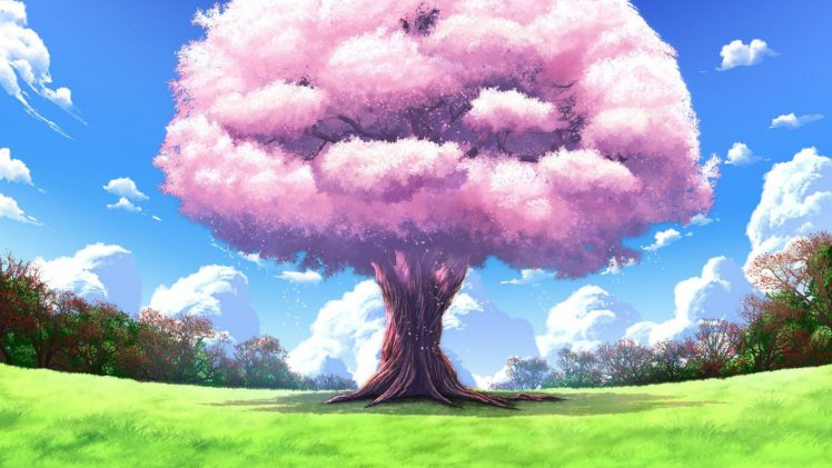 nature, Trees, Clouds HD Wallpaper Desktop Background