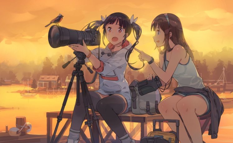 anime girls, Birds HD Wallpaper Desktop Background