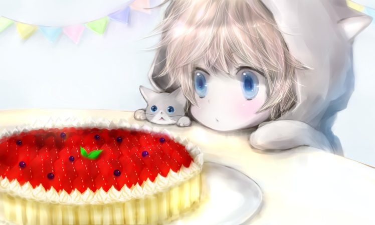 pies, Blue eyes, Kittens HD Wallpaper Desktop Background
