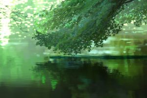 Makoto Shinkai, Anime, Trees, Green, The Garden of Words