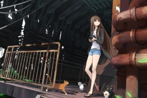 anime girls, Cat, Shorts, Jean shorts, Short shorts