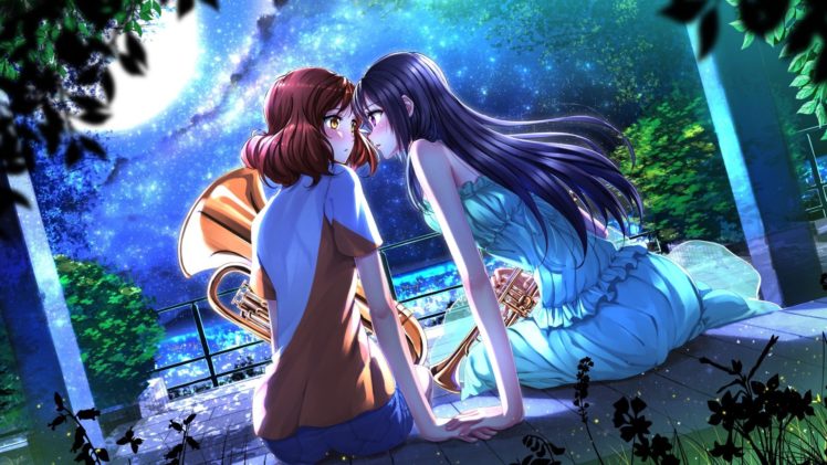 anime, Hibike! Euphonium, Kousaka Reina, Oumae Kumiko, Swordsouls, Anime girls HD Wallpaper Desktop Background