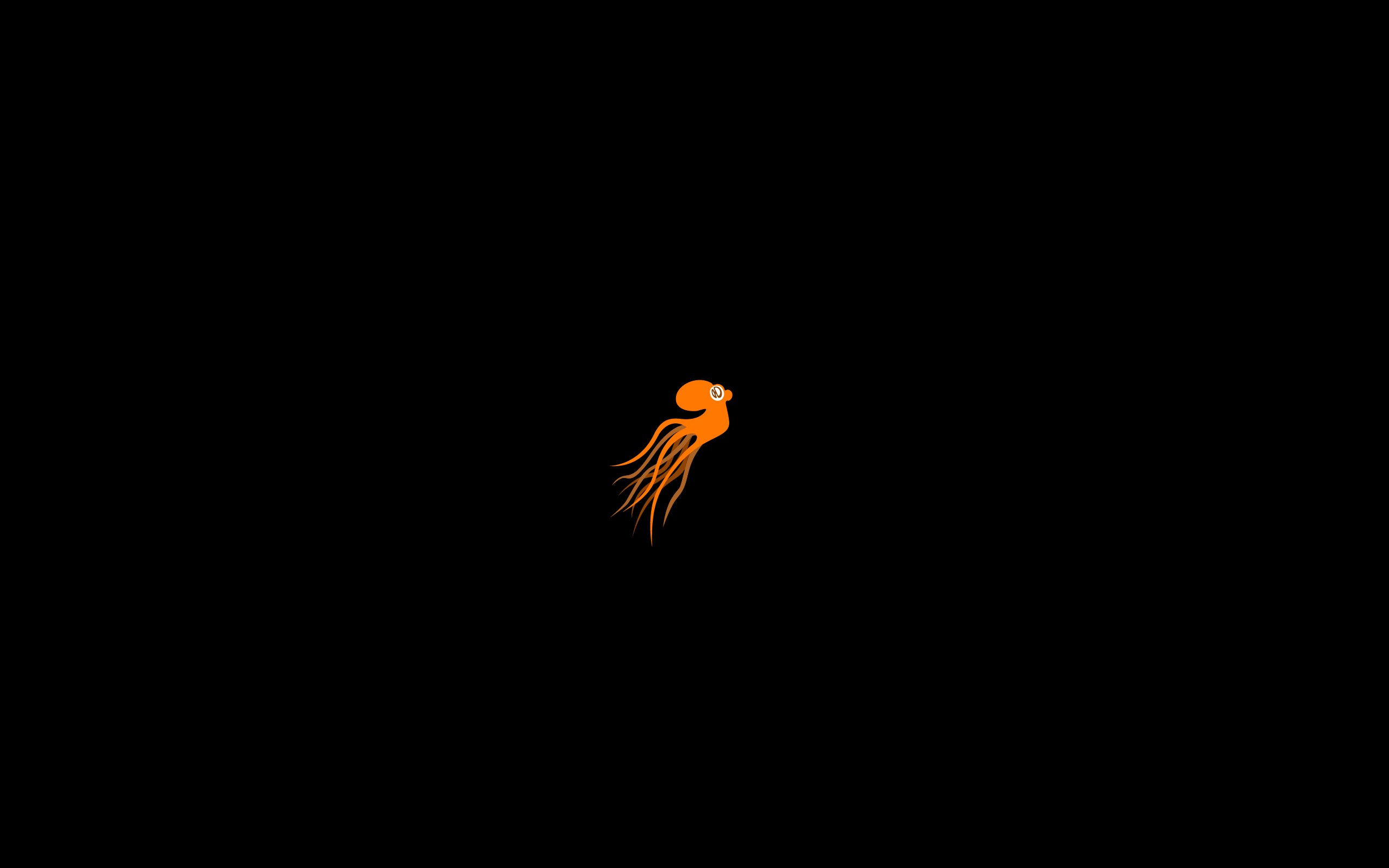 21556 Wallpaper