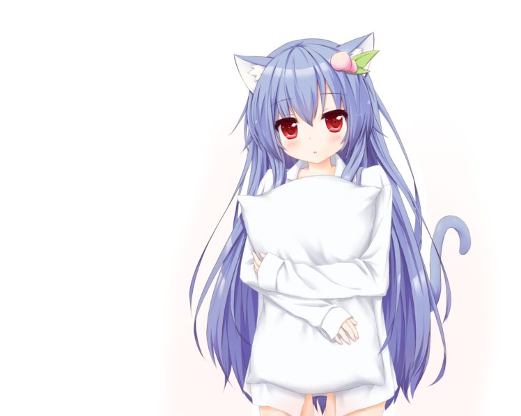 anime girls, Long hair, Animal ears, Blue hair, Pillow HD Wallpaper Desktop Background