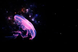 outer, Space, Purple, Fantasy, Art, Jellyfish