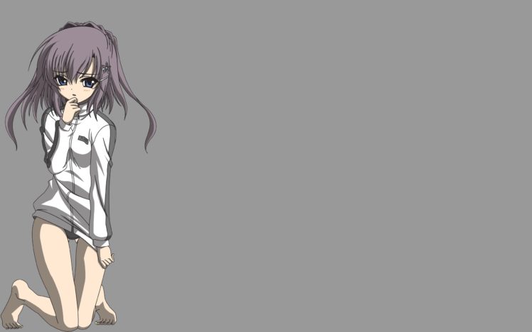 gray, Vectors, Katagiri, Yuuhi, Akane iro, Ni, Somaru, Saka, Simple, Background HD Wallpaper Desktop Background