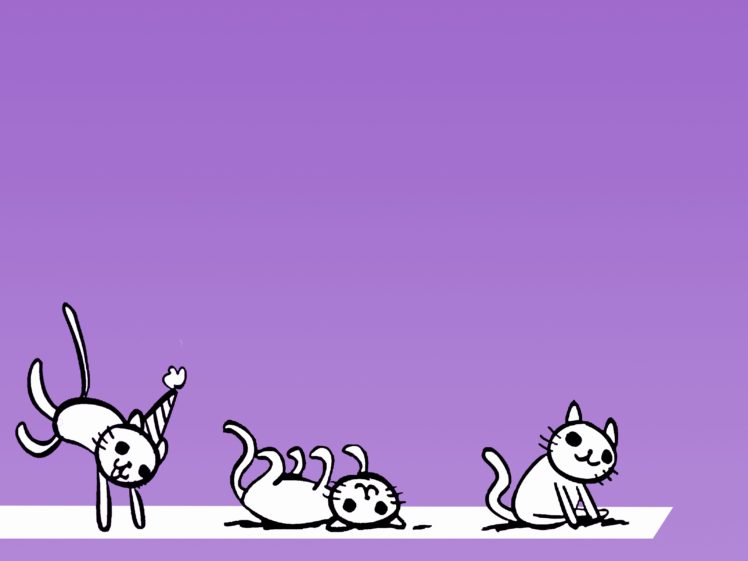 cats, Purple, Roll, Party HD Wallpaper Desktop Background