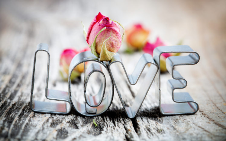 love, Romance, Words, Statements, Valentines day, Holidays, Valentines HD Wallpaper Desktop Background