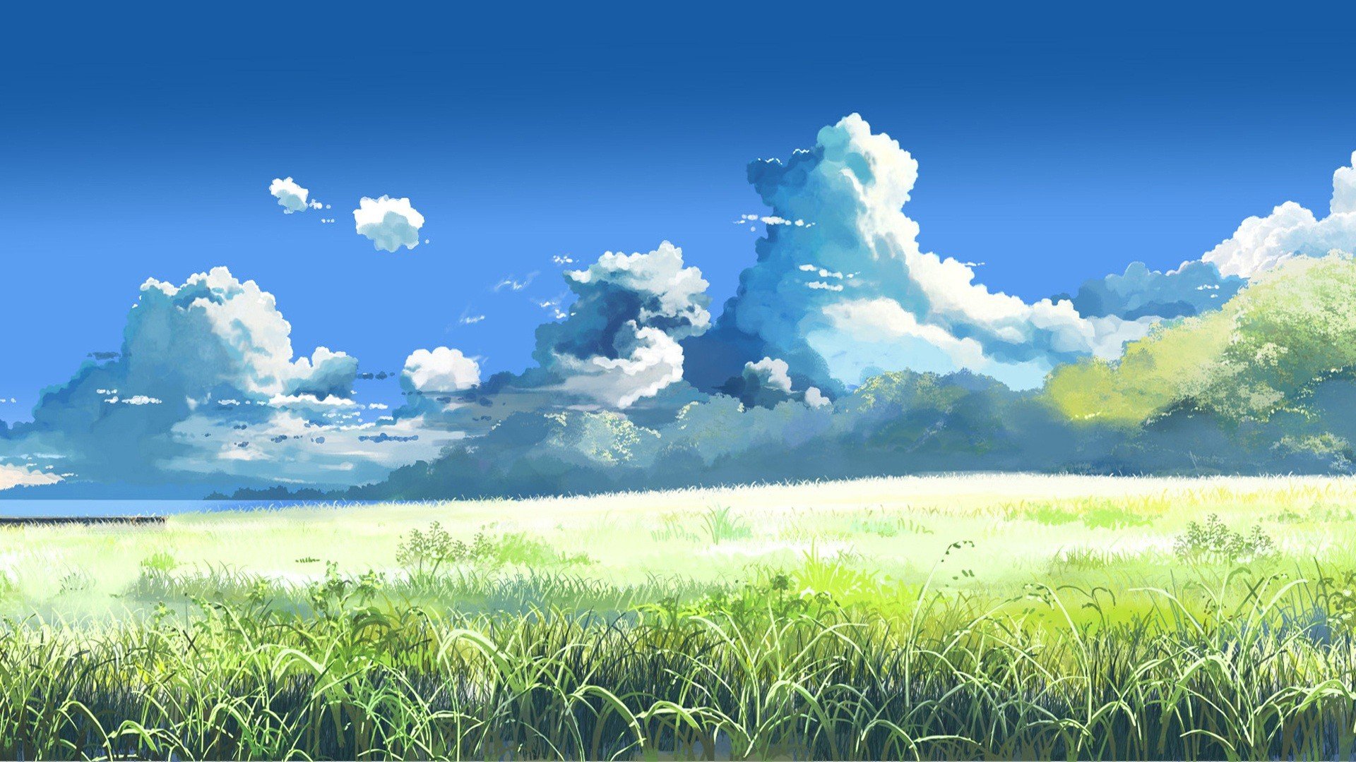 5 Centimeters Per Second, Anime, Sky, Field Wallpaper