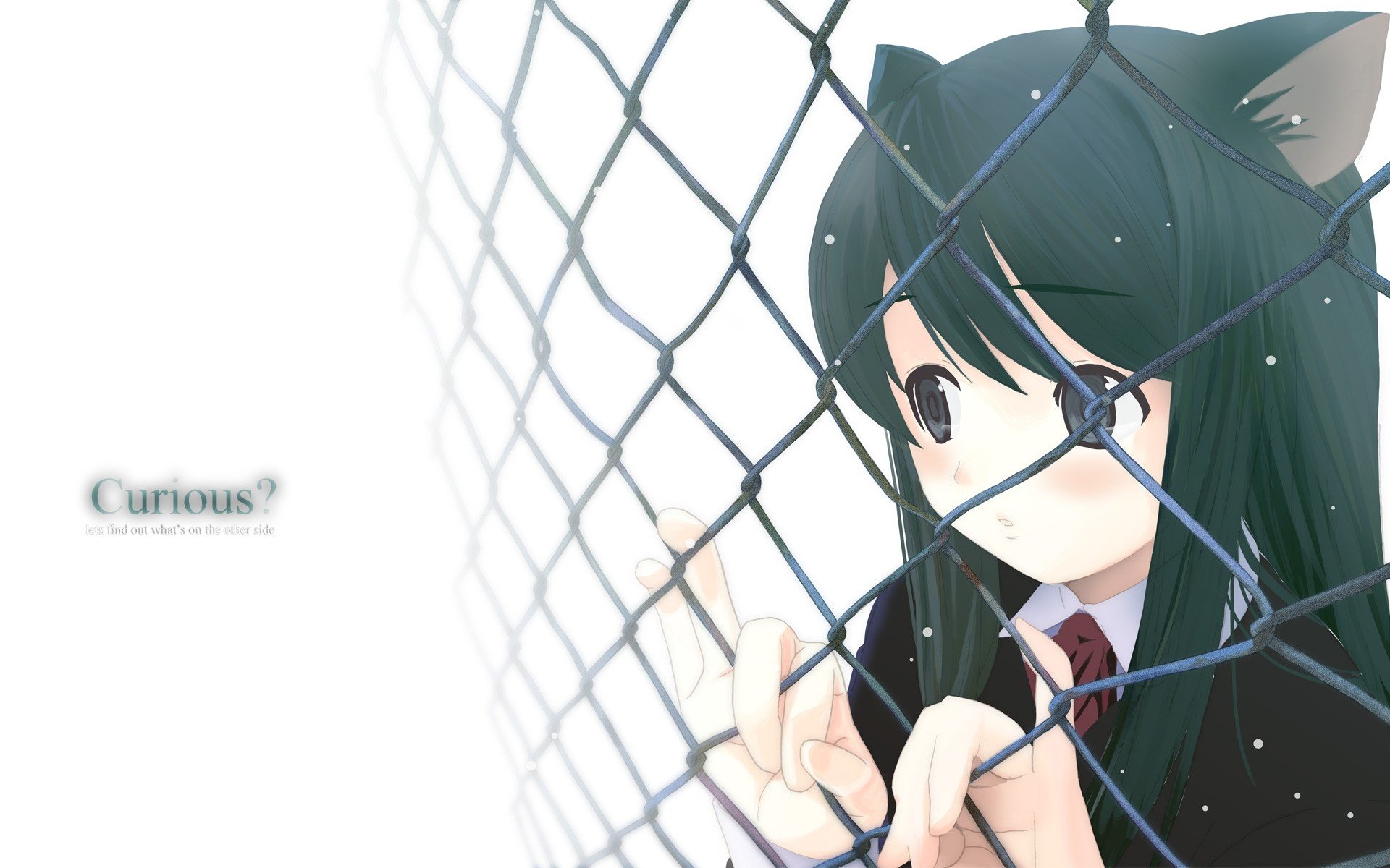 nekomimi Wallpaper