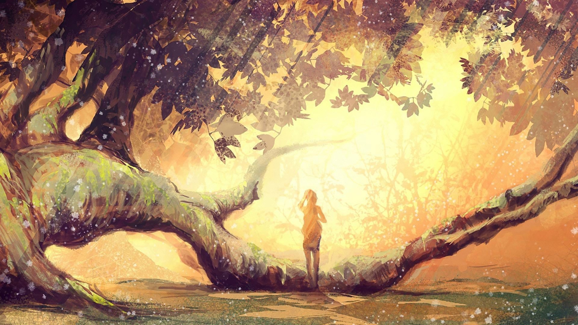 forests, Fantasy, Art Wallpaper