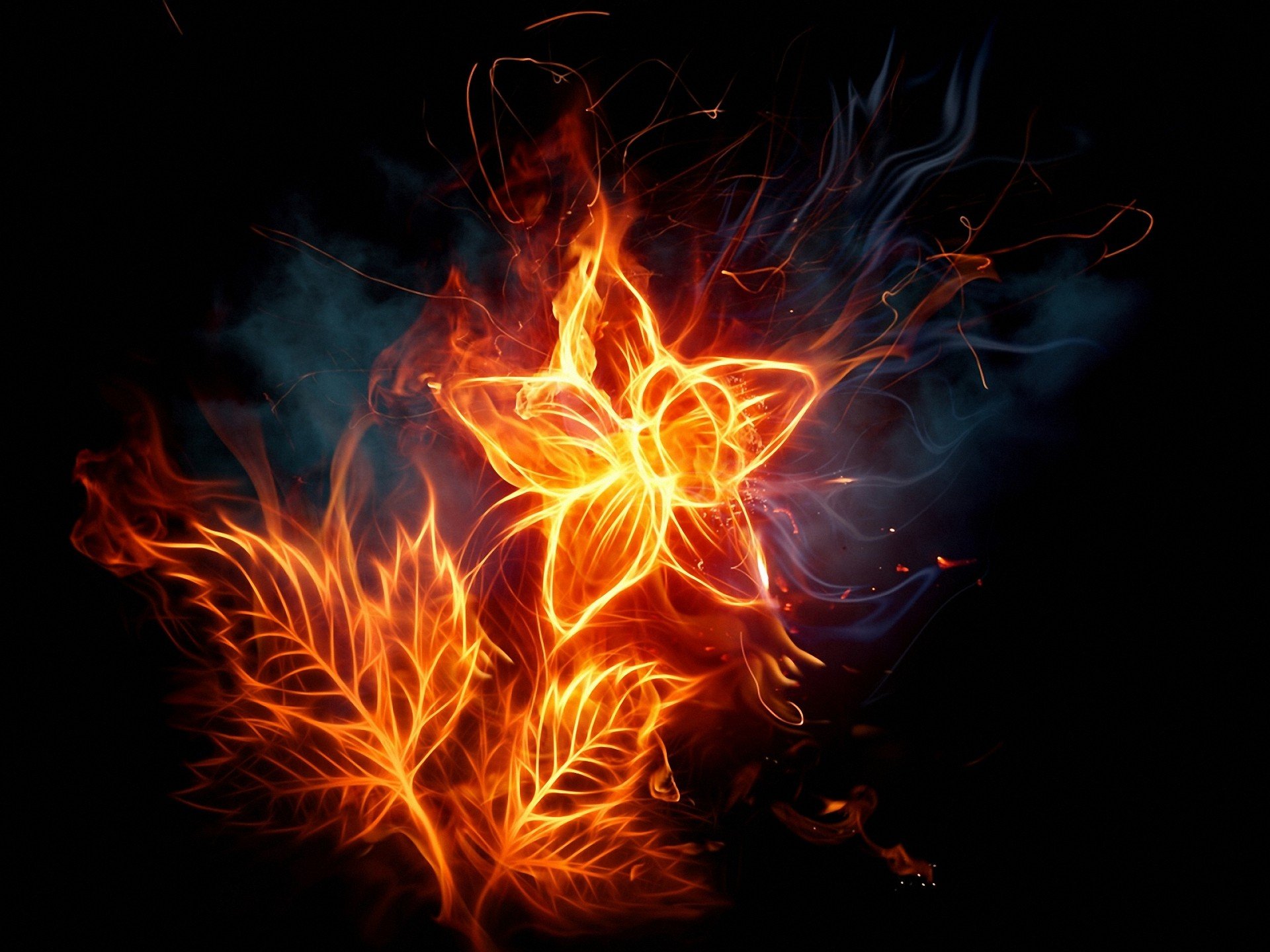 abstract, Flames, Flowers, Fire, Digital, Art, Artwork, Fire, Flower Wallpaper