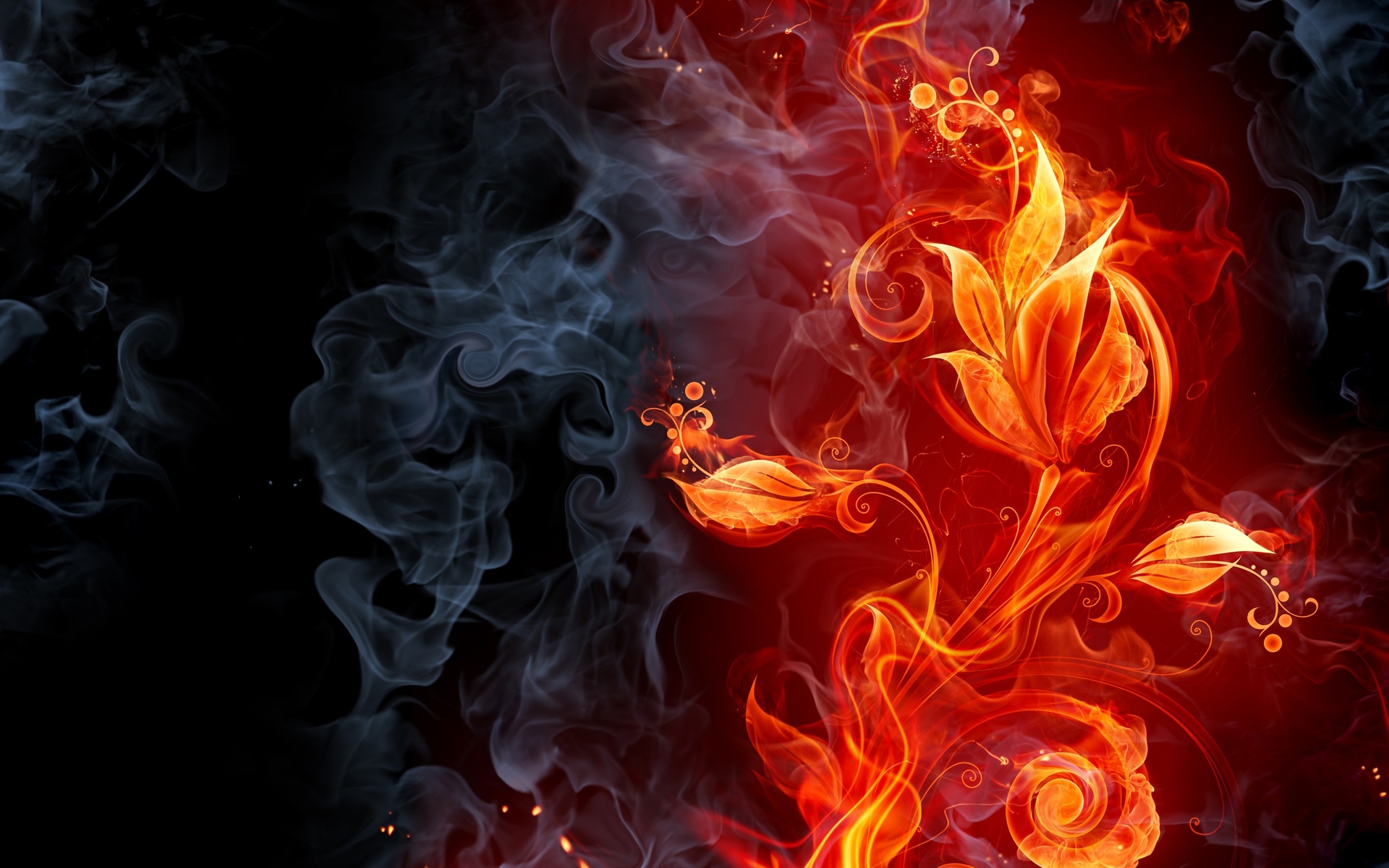 abstract, Fire, Flames, Smoke, Flowers, Cg, Digital, Art, Color Wallpaper