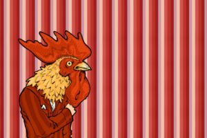 birds, Vectors, Chickens, Roosters, Stripes