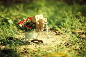 flowers, Grass, Danboard, Depth, Of, Field, Potted, Plant, Cycles