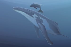 vectors, Whales