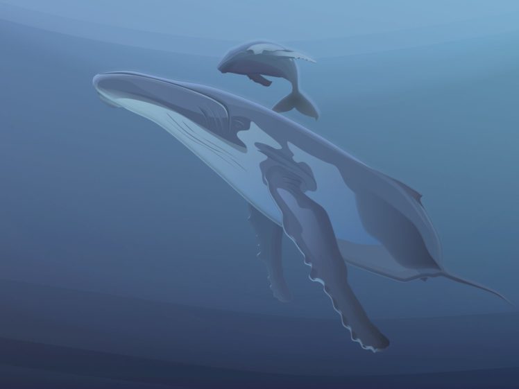 vectors, Whales HD Wallpaper Desktop Background