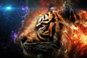 abstract, Tigers, Artwork