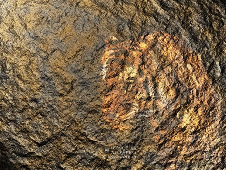 tigers, Design, Rocks, Textures, Ancient HD Wallpaper Desktop Background