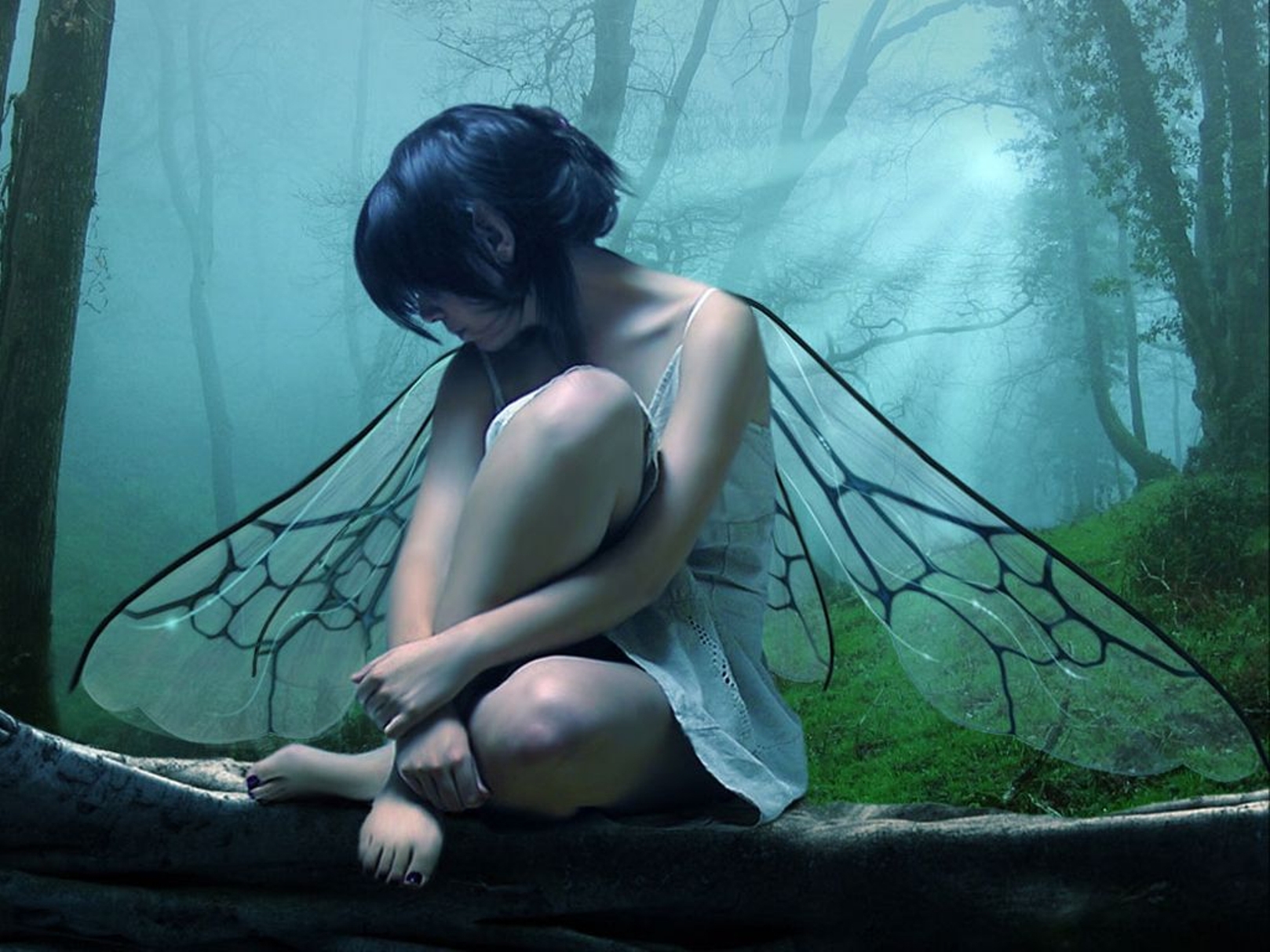 fantasy, Art, Fairy, Wings, Trees, Forest, Landscapes, Cg, Digital, Women, Gothic, Mood Wallpaper