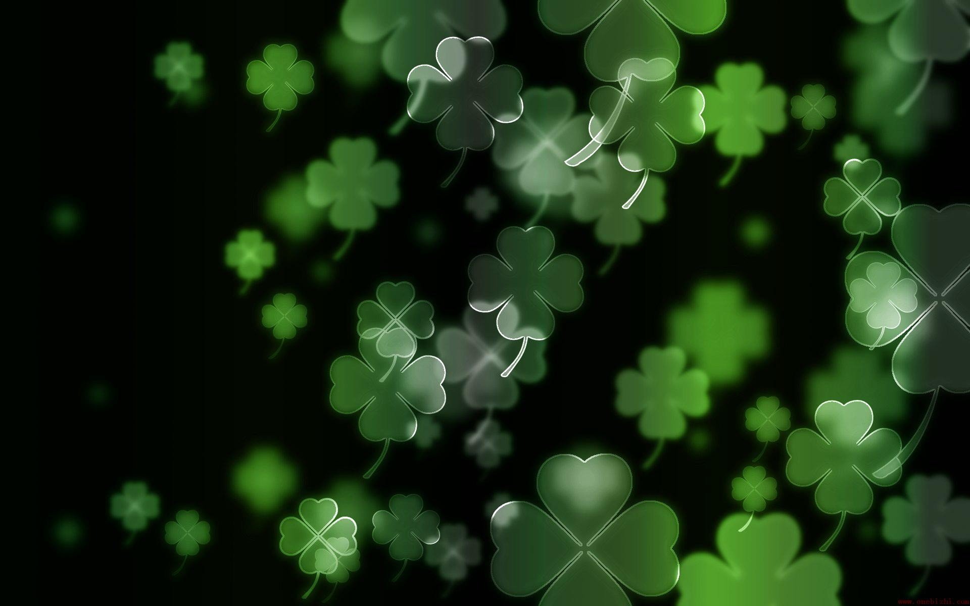 luck, Irish, Four, Leaf, Clover, Clovers Wallpaper