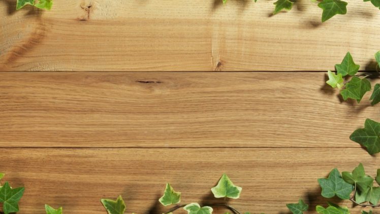 wood, Tables, Textures, Ivy, Board HD Wallpaper Desktop Background