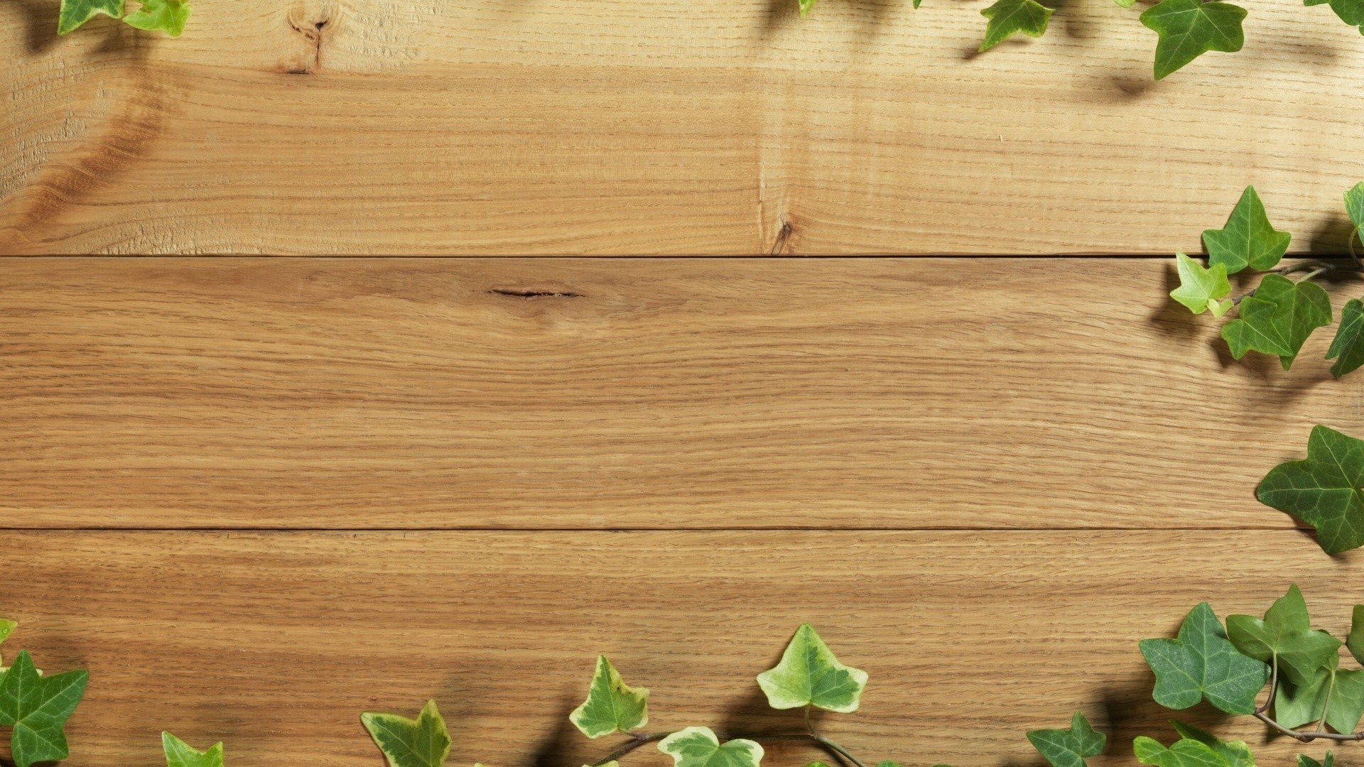 wood, Tables, Textures, Ivy, Board Wallpaper