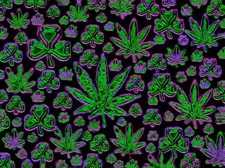 pot, Leaf HD Wallpaper Desktop Background