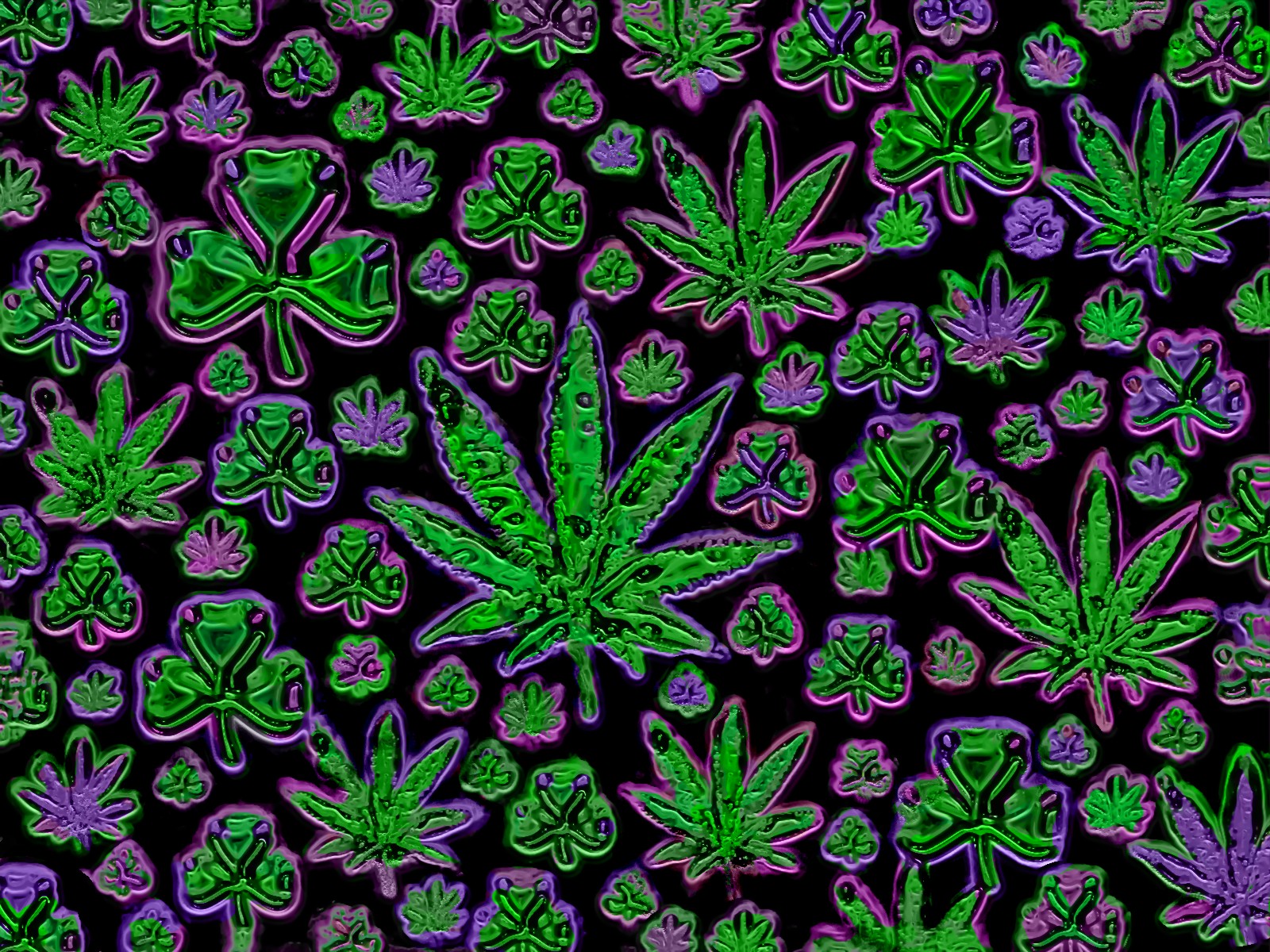 pot, Leaf Wallpaper