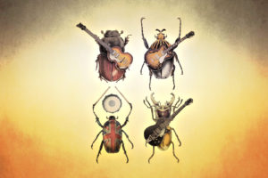 the, Beatles, Beetle, Insects, Guitar, Bands, Groups, Humor, Funny