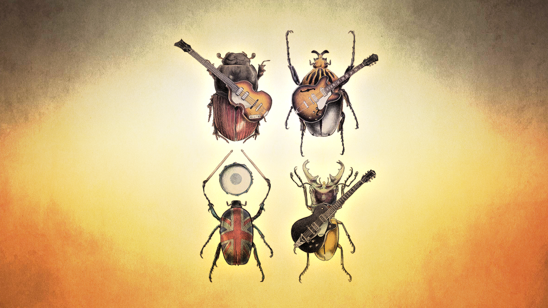 the, Beatles, Beetle, Insects, Guitar, Bands, Groups, Humor, Funny Wallpaper