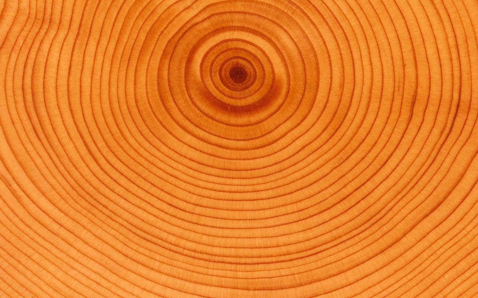 texture, Abstract, Background, Colors Wallpaper