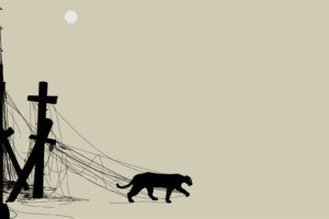 panther, Power, Lines, Wires, Mood, Cats, Vector