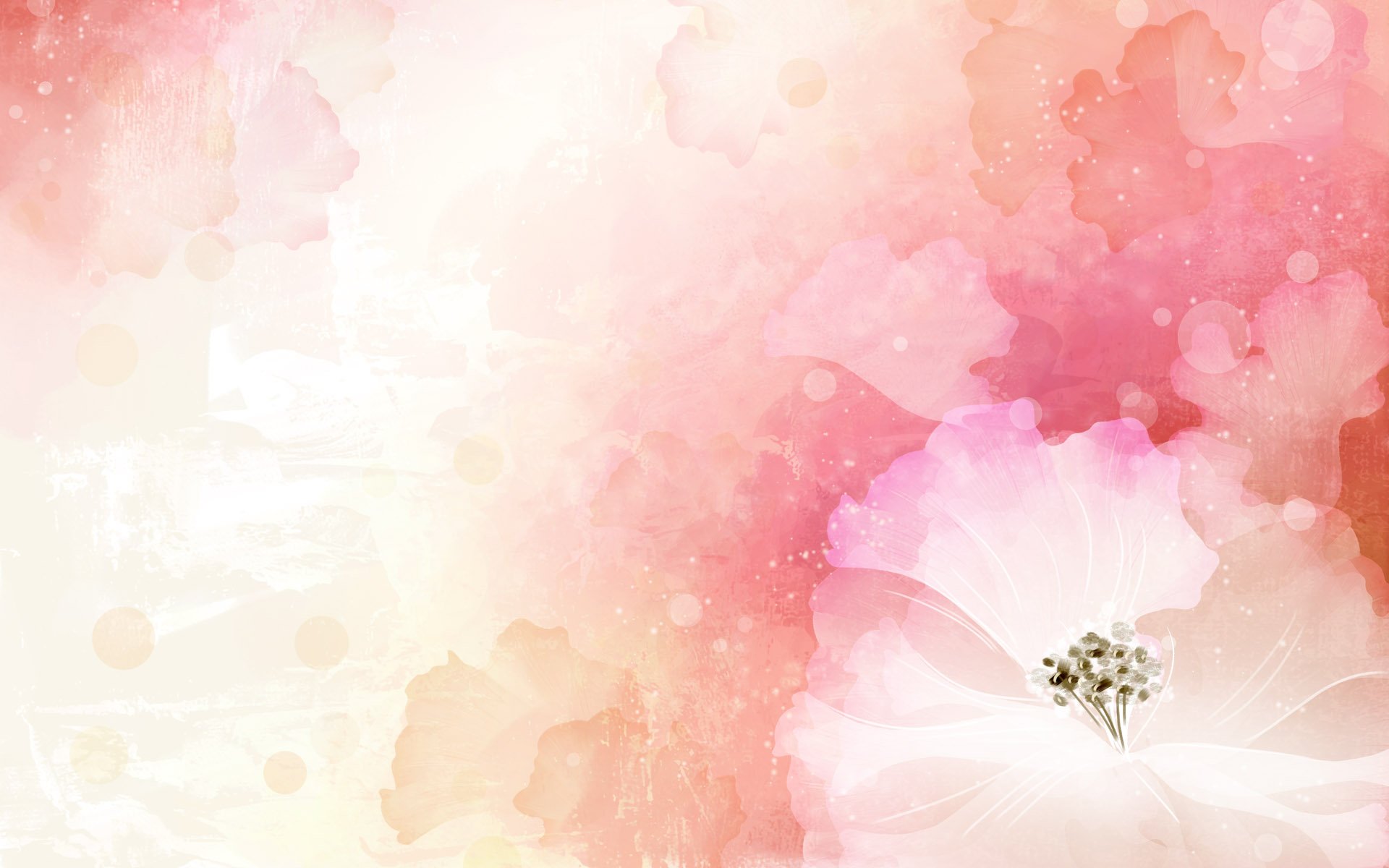 flowers, Art, Vector, Abstract, Colors, Lovely Wallpaper