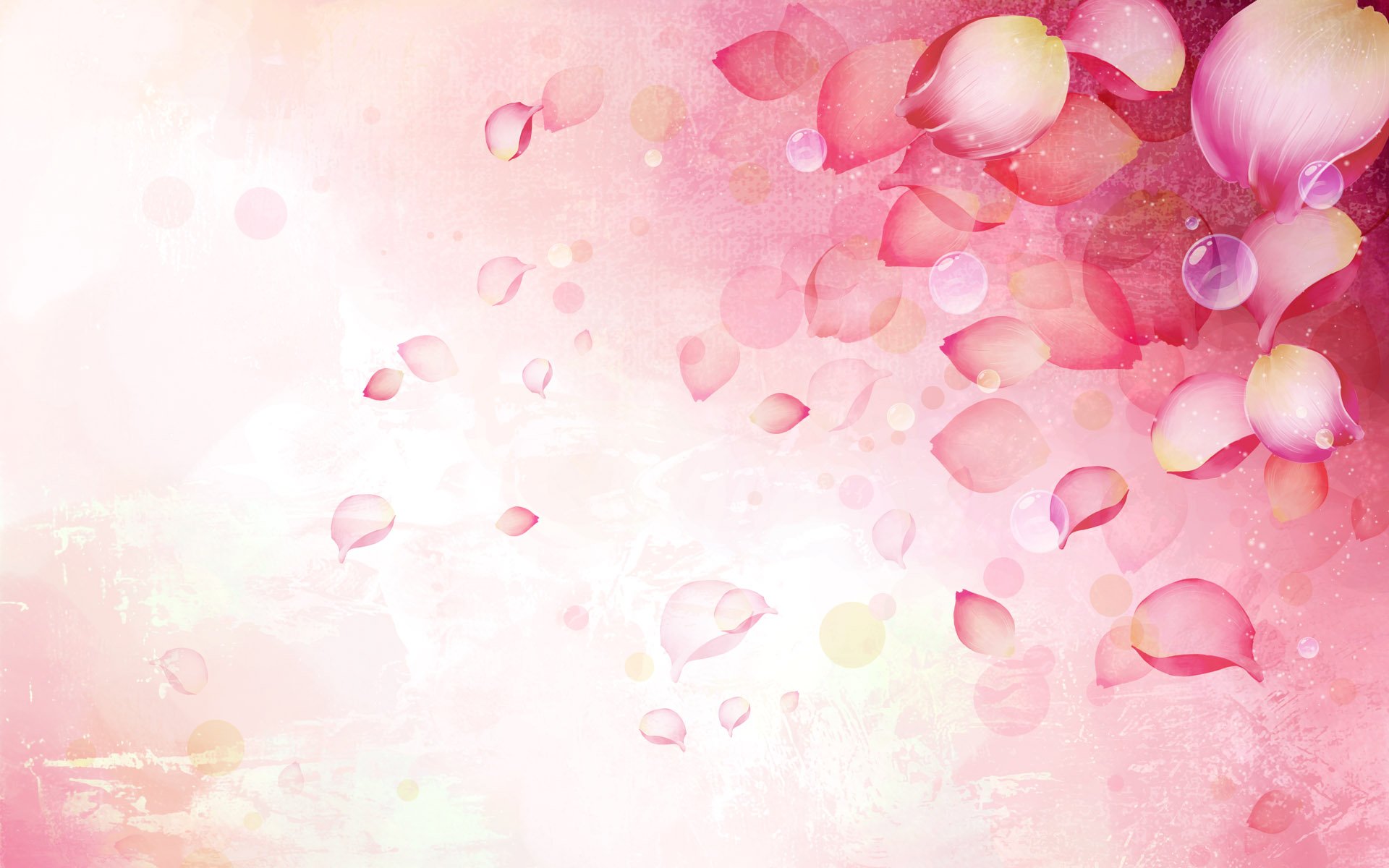 flowers, Art, Vector, Abstract, Colors, Lovely Wallpaper