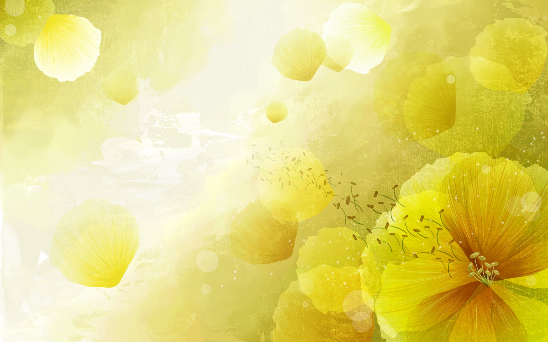 flowers, Art, Vector, Abstract, Colors, Lovely Wallpaper