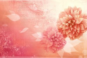 flowers, Art, Vector, Abstract, Colors, Lovely