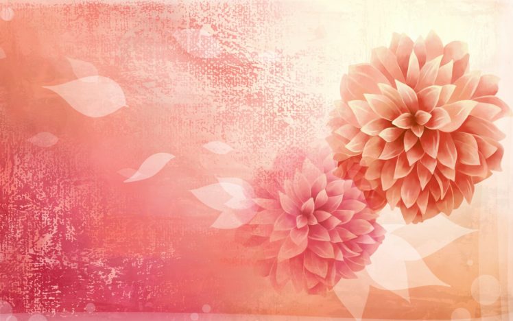 flowers, Art, Vector, Abstract, Colors, Lovely HD Wallpaper Desktop Background