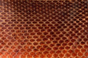 texture, Skin, Scales, Snake, Animal, Pattern, Abstract