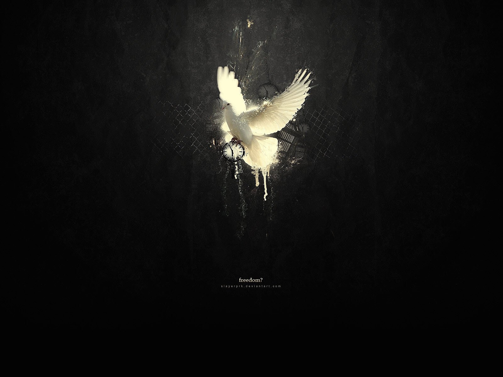 478578 Wallpaper