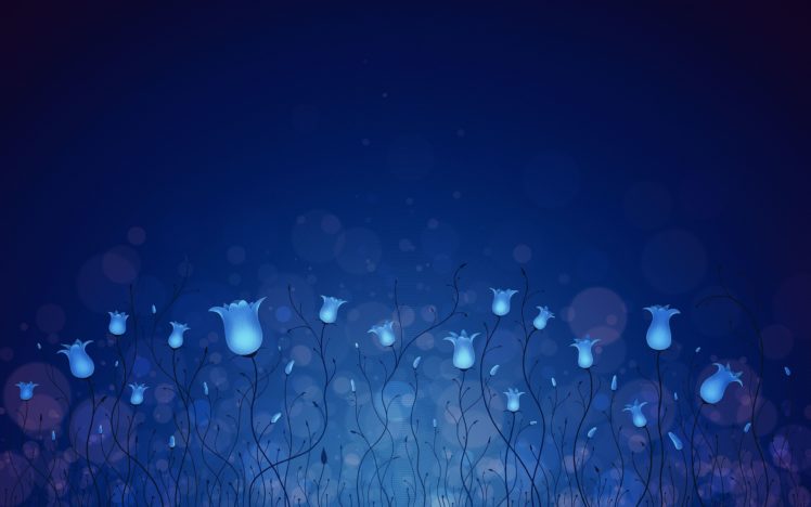 flowers, Blue HD Wallpaper Desktop Background